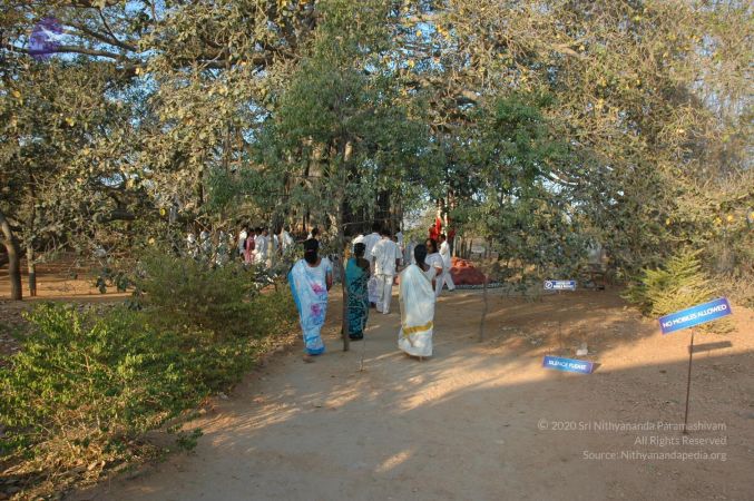 20070224 Photo 1194 18CMjU6aGTkW0Z7XQYHlMGrAd1lbbEIrr.JPG