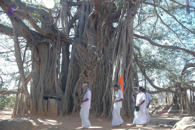 File:20070224 Photo 2225 1nDpHGiVNQBiWi50UpWNyJhSSwpk 611r.JPG