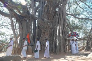 20070224 Photo 2228 1ZajcYepbLzPG1VOLpy1EYbf45v4n2LIa.JPG