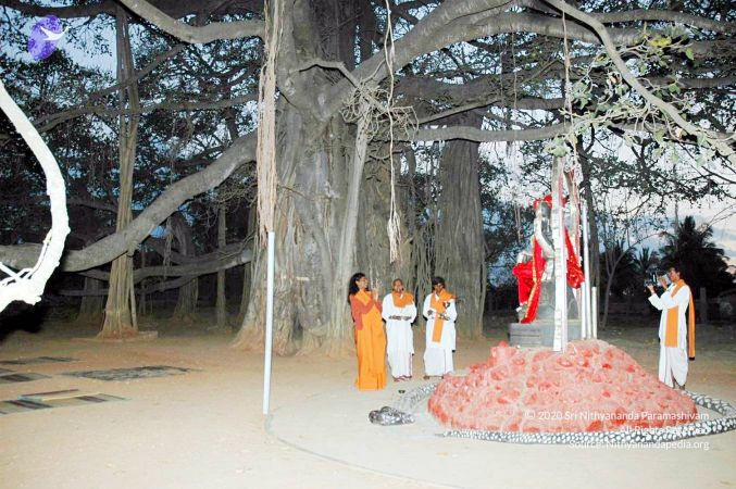 20070225 DSC 6565 CMP WM01.jpg