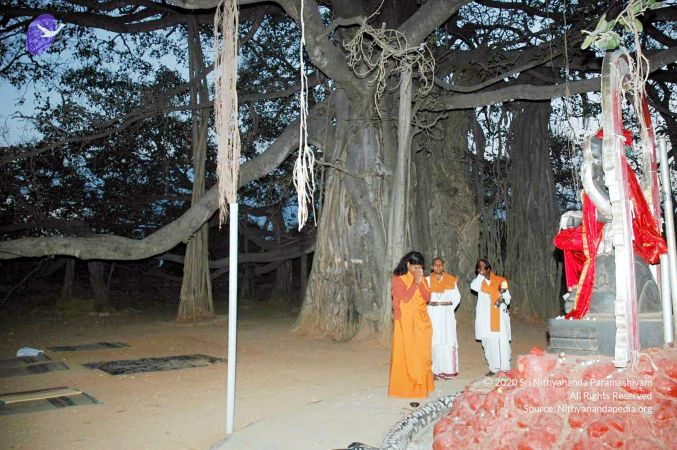 20070225 DSC 6574 CMP WM01.jpg