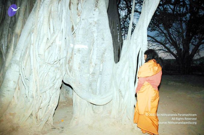 20070225 DSC 6576 CMP WM01.jpg