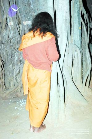 20070225 DSC 6585 CMP WM01.jpg