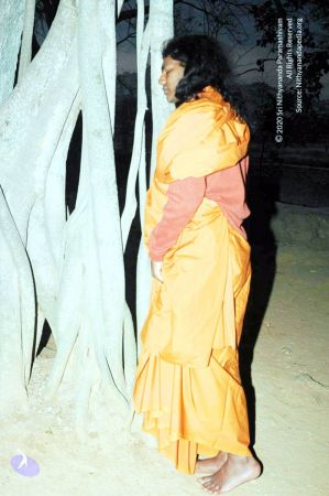 20070225 DSC 6588 CMP WM01.jpg