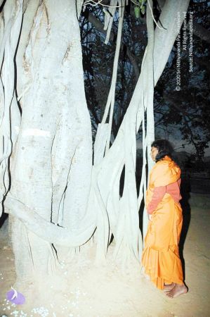 20070225 DSC 6589 CMP WM01.jpg