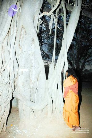 20070225 DSC 6591 CMP WM01.jpg