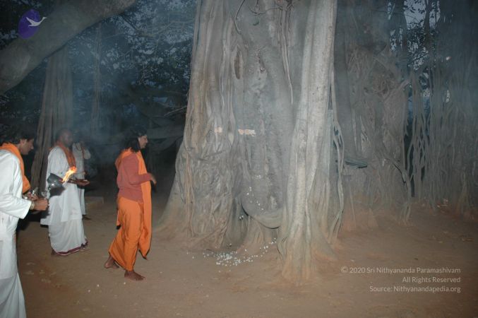 20070225 Photo 1035 1ujvV2ZxplRUNe1lE9QMYx4oApj1-ie8J.JPG