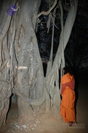 20070225 Photo 1043 1-AZJz-i-4q8wZHjdjJ-TkbzpUXpbiubM.JPG