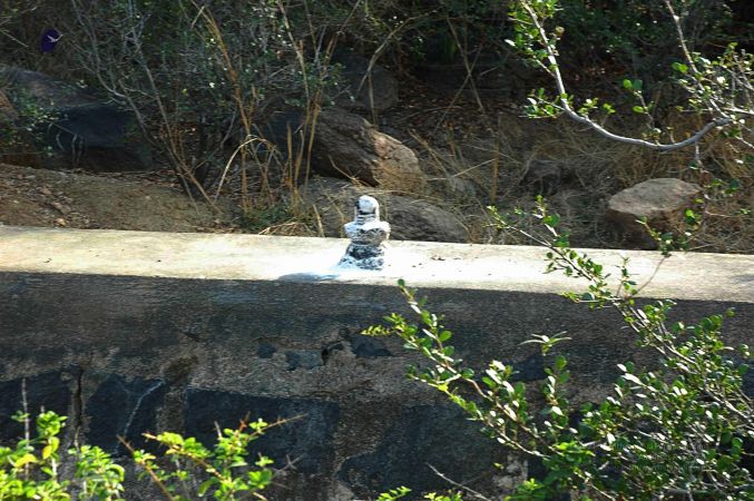 20070509 NUCourses Traditional Udal Kattumurthi 6726.jpg