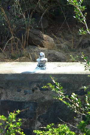 20070509 NUCourses Traditional Udal Kattumurthi 6727.jpg