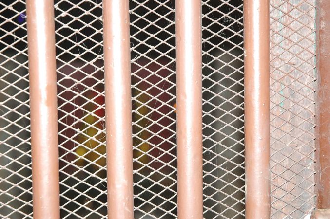 20070509 NUCourses Traditional Udal Kattumurthi 6771.jpg