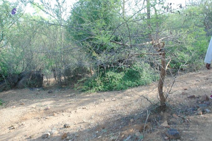 20070509 NUCourses Traditional Udal Kattumurthi 6802.jpg