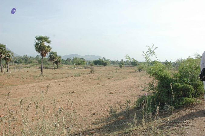 20070509 NUCourses Traditional Udal Kattumurthi 6838.jpg