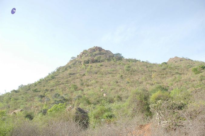 20070509 NUCourses Traditional Udal Kattumurthi 6885.jpg