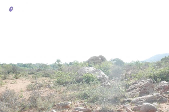 20070509 NUCourses Traditional Udal Kattumurthi 6900.jpg