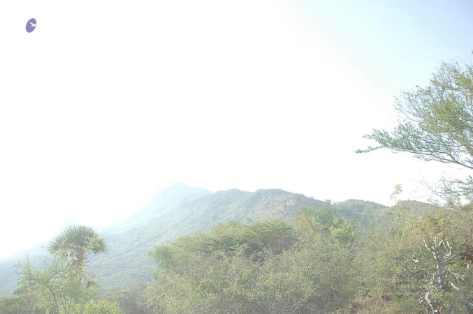 20070509 NUCourses Traditional Udal Kattumurthi 6957.jpg