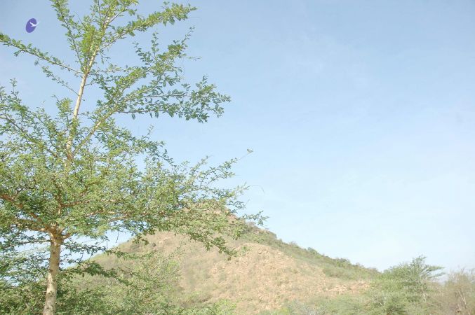 20070509 NUCourses Traditional Udal Kattumurthi 6985.jpg