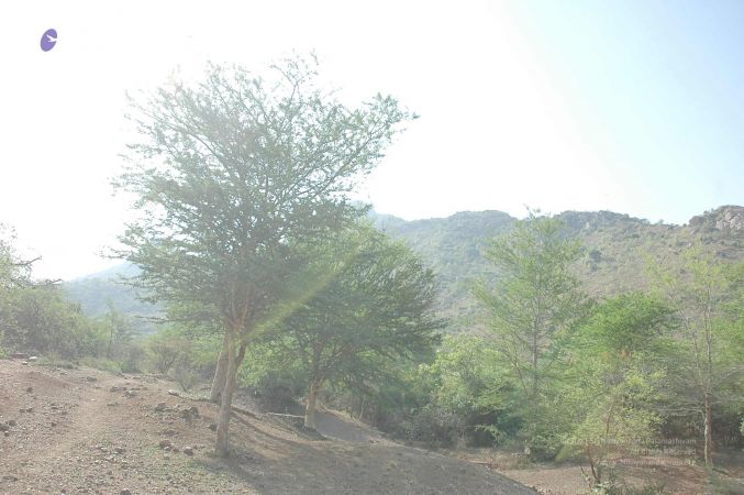 20070509 NUCourses Traditional Udal Kattumurthi 7019.jpg