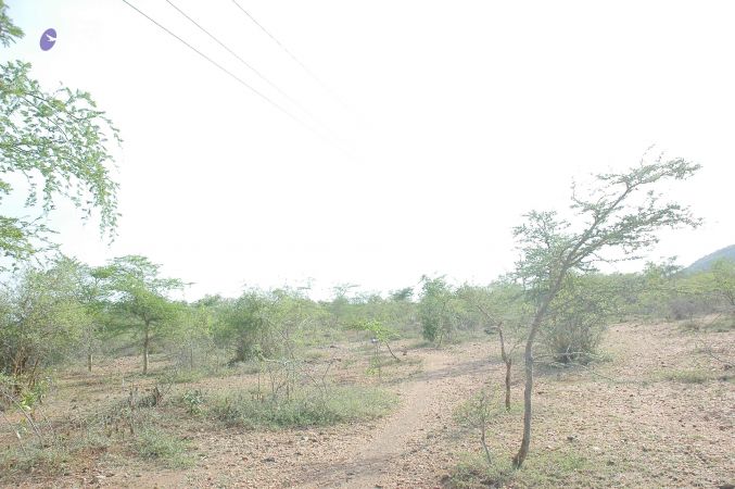 20070509 NUCourses Traditional Udal Kattumurthi 7036.jpg