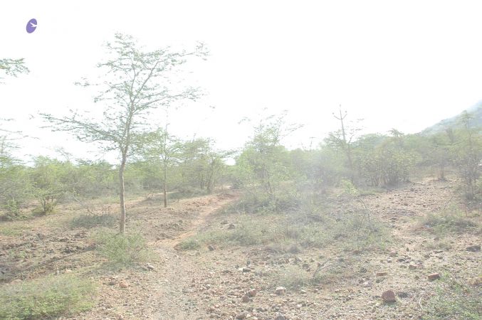 20070509 NUCourses Traditional Udal Kattumurthi 7042.jpg