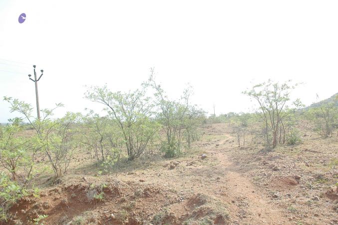 20070509 NUCourses Traditional Udal Kattumurthi 7099.jpg