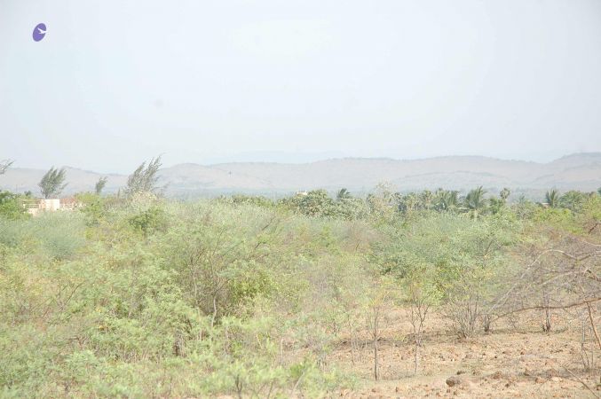 20070509 NUCourses Traditional Udal Kattumurthi 7107.jpg