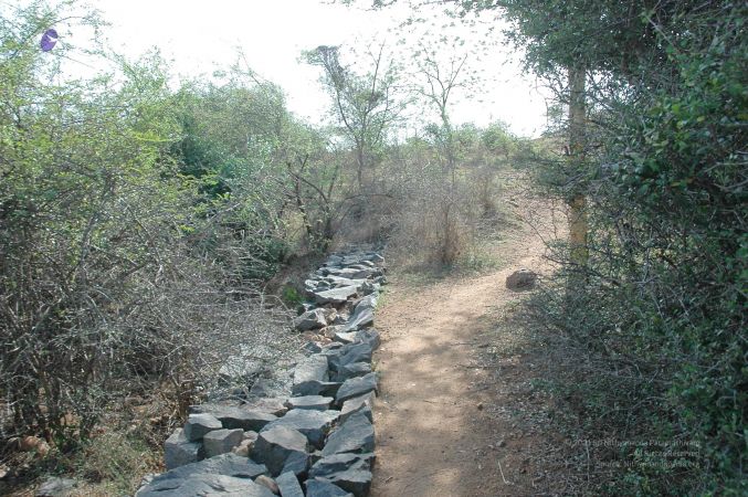 20070509 NUCourses Traditional Udal Kattumurthi 7116.jpg