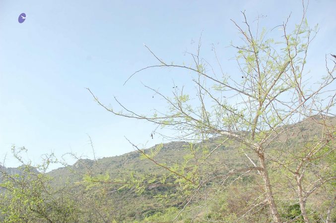 20070509 NUCourses Traditional Udal Kattumurthi 7132.jpg