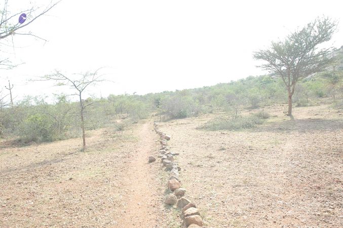 20070509 NUCourses Traditional Udal Kattumurthi 7133.jpg