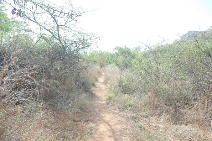 20070509 NUCourses Traditional Udal Kattumurthi 7152.jpg