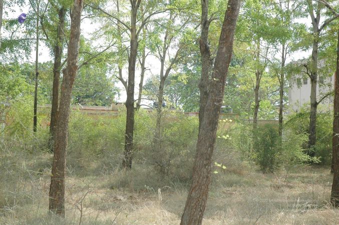 20070509 NUCourses Traditional Udal Kattumurthi 7207.jpg