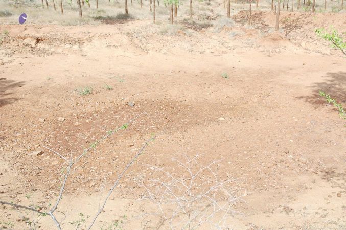 20070509 NUCourses Traditional Udal Kattumurthi 7239.jpg