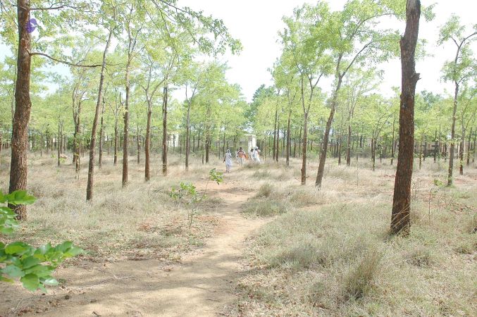 20070509 NUCourses Traditional Udal Kattumurthi 7293.jpg