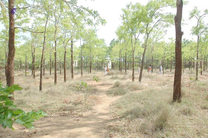 20070509 NUCourses Traditional Udal Kattumurthi 7297.jpg