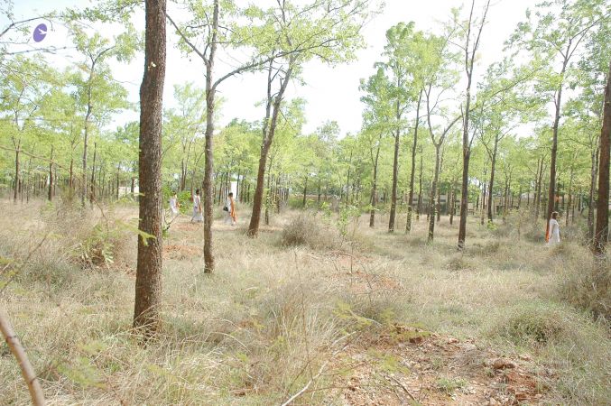 20070509 NUCourses Traditional Udal Kattumurthi 7303.jpg