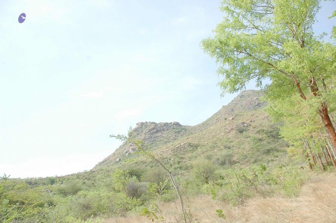 20070509 NUCourses Traditional Udal Kattumurthi 7316.jpg