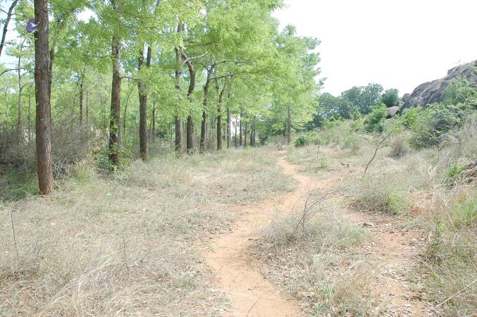 20070509 NUCourses Traditional Udal Kattumurthi 7317.jpg