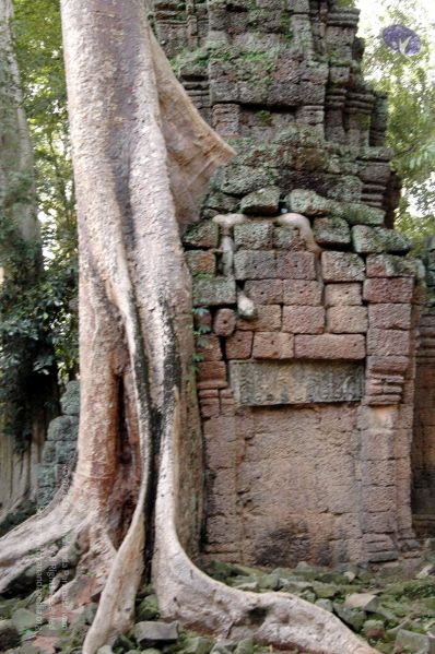 File:20070703 DSC 0555 CMP WM 11.jpg