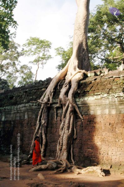 File:20070703 DSC 0590 CMP WM 11.jpg