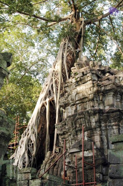 File:20070703 DSC 0613 CMP WM 11.jpg