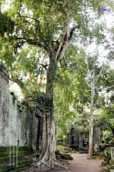 File:20070703 DSC 0645 CMP WM 11.jpg