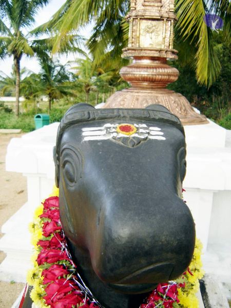 File:20070826 20070826 Photo 45 1YQ9rVqwq E1kxNDrRUVEZlgqJjYuxzD5 11.jpg