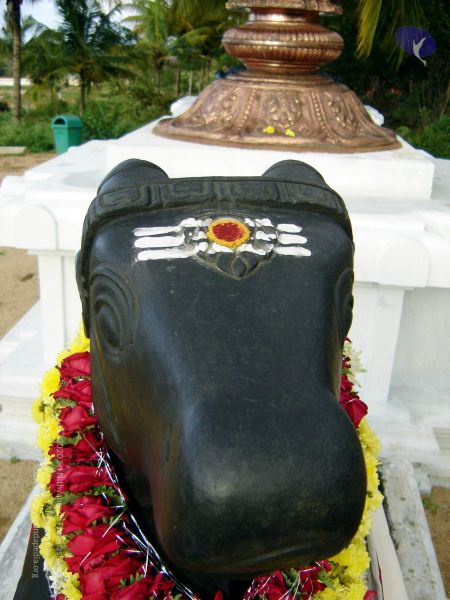 File:20070826 20070826 Photo 48 1hk63TodQ2kyDiM5dtQBsnP31KziXFw9o 11.jpg