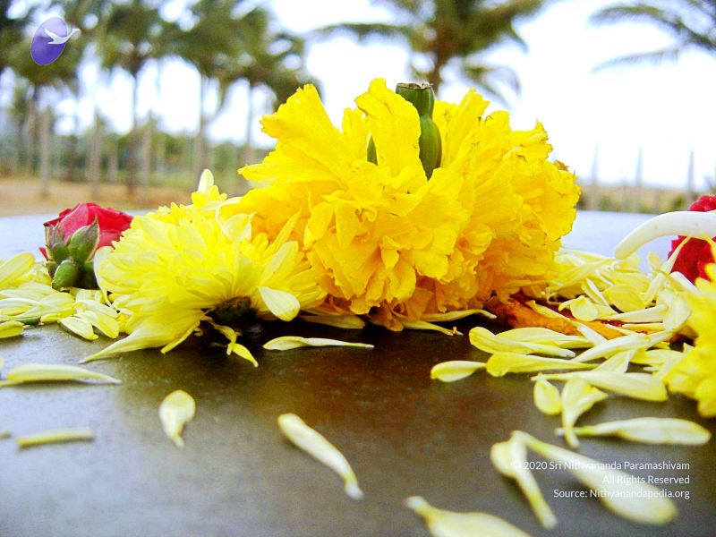 File:20070826 Photo 15 1jkAYxy0x4gdta6YGNvEkfjZV6AOn50mx.jpg