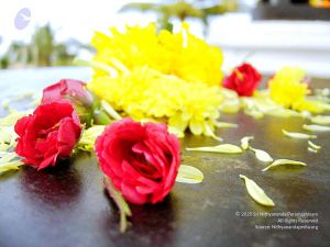 20070826 Photo 17 1eA2DbsH3NHZ8xJw5fBK1aw8h3SlU36Pp.jpg