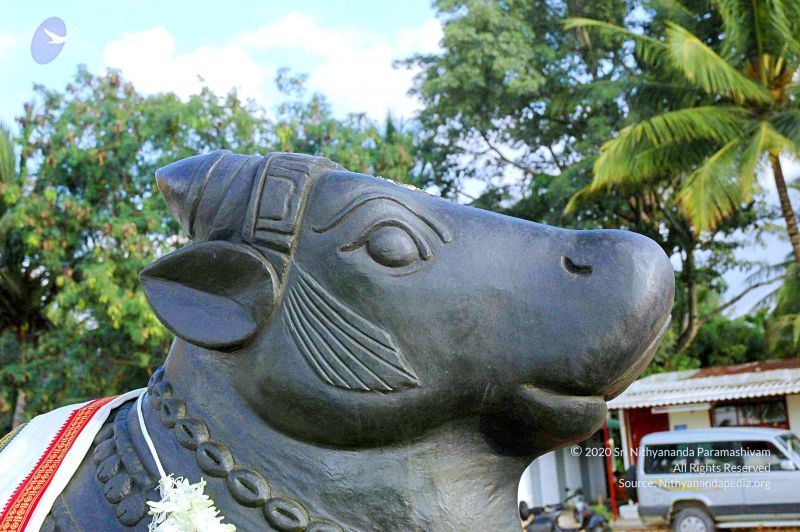 File:20070826 Photo 216 1Jf QFygzTeM4Hh-Ud4m28BdowDAT8q-m.jpg