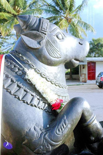 File:20070826 Photo 218 1vNy3er0QpOd0tQvkCFIhO59O2jXU EOP.jpg