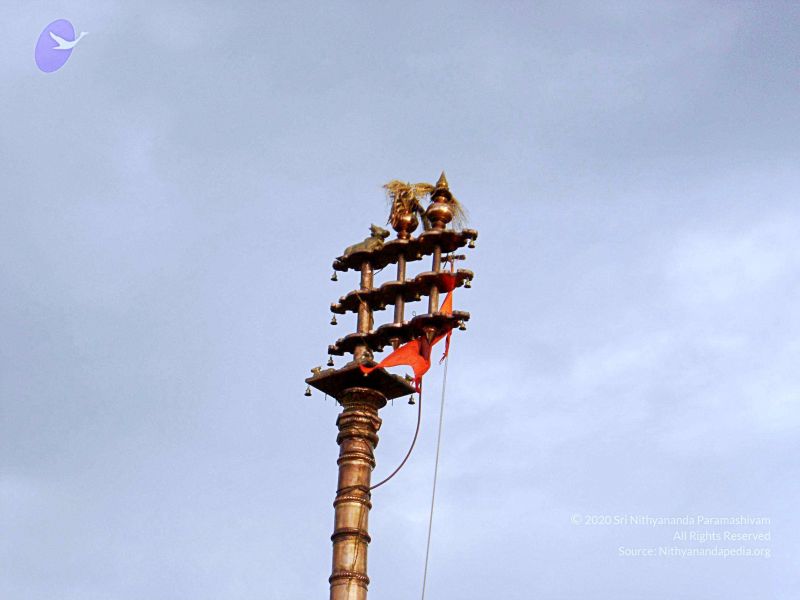 File:20070826 Photo 24 1b4bNg8GAOOzSTehiFiOnKseyRQHYhHK2.jpg