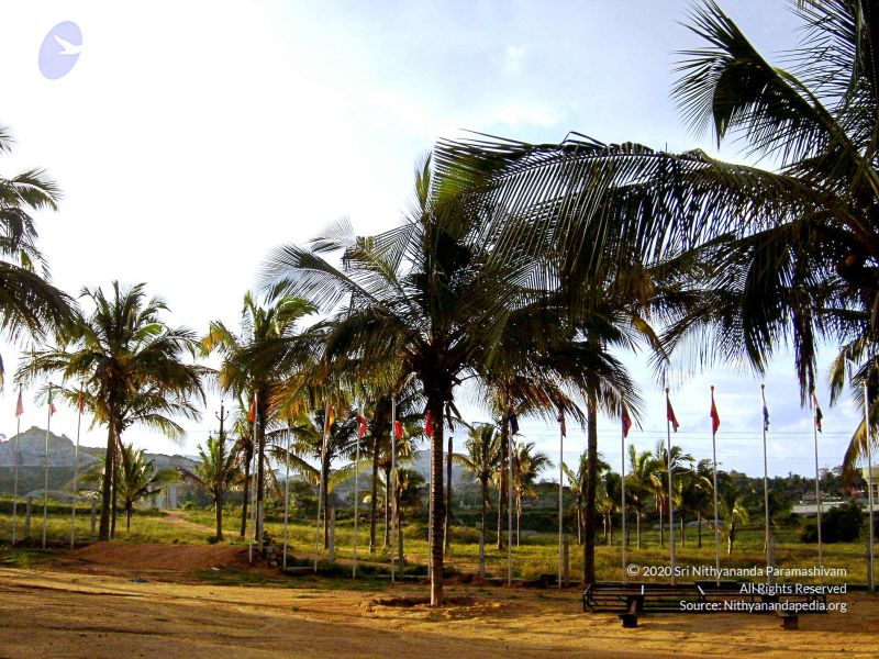 File:20070826 Photo 33 1BfFvW51AS0yhUu5PQIMPPhA6dVFcNybj.jpg