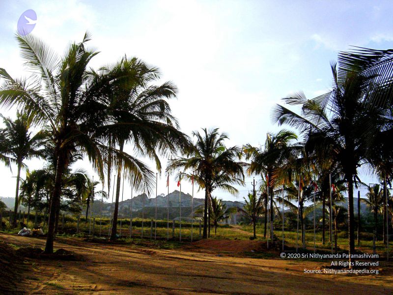 File:20070826 Photo 34 1xrx8NnQPnd3i6kStrA37MCKfQxI-41Wf.jpg